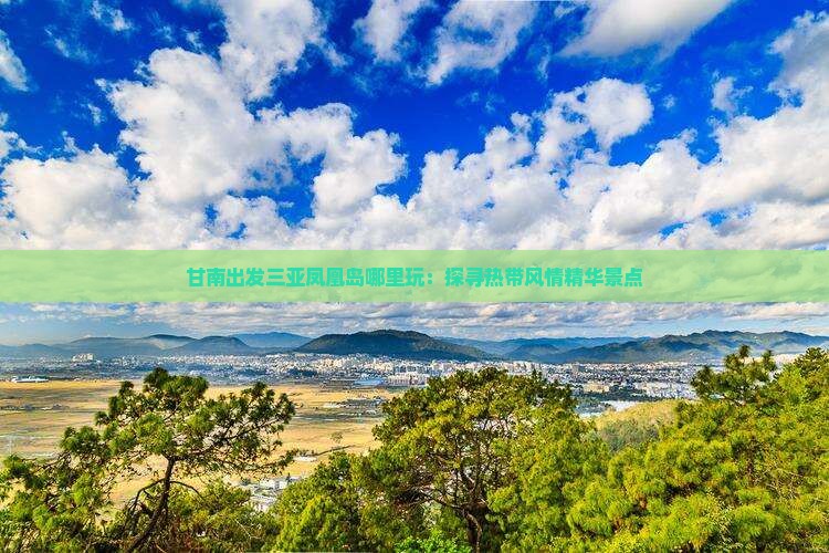 甘南出发三亚凤凰岛哪里玩：探寻热带风情精华景点