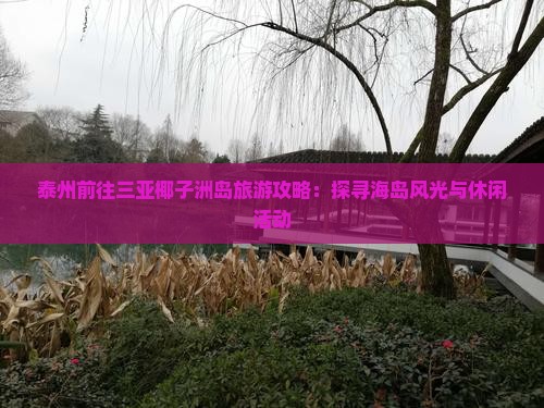 泰州前往三亚椰子洲岛旅游攻略：探寻海岛风光与休闲活动