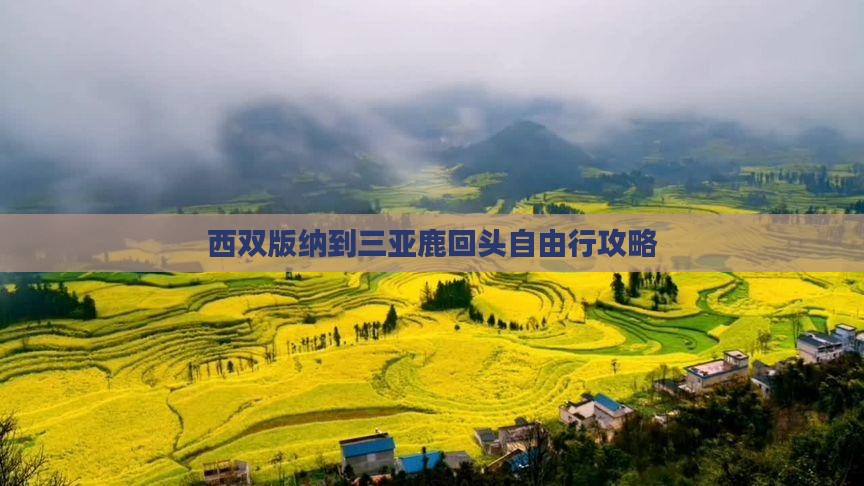 西双版纳到三亚鹿回头自由行攻略