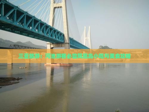 三亚旅游：河池游客必尝凤凰岛小吃与美食攻略