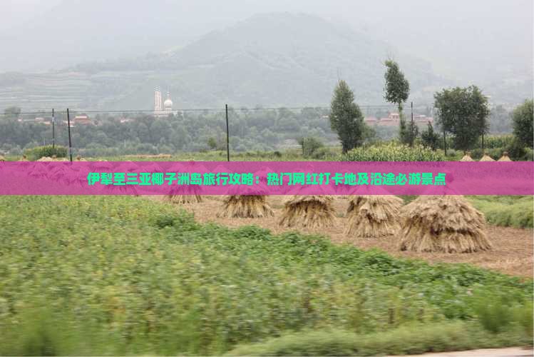伊犁至三亚椰子洲岛旅行攻略：热门网红打卡地及沿途必游景点