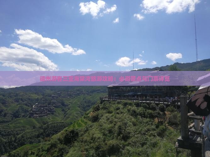 德州游客三亚海棠湾旅游攻略：必游景点与门票详览