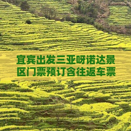 宜宾出发三亚呀诺达景区门票预订含往返车票