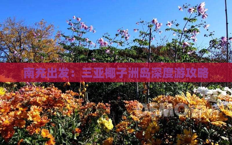 南充出发：三亚椰子洲岛深度游攻略