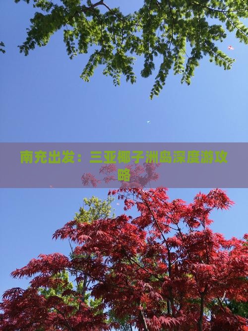 南充出发：三亚椰子洲岛深度游攻略