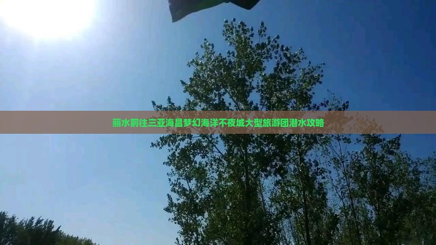 丽水前往三亚海昌梦幻海洋不夜城大型旅游团潜水攻略