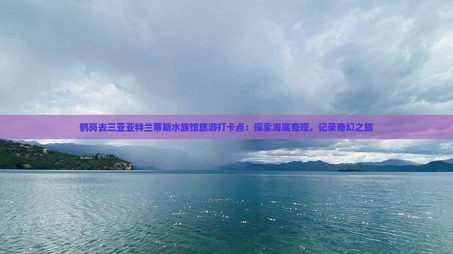 鹤岗去三亚亚特兰蒂斯水族馆旅游打卡点：探索海底奇观，记录奇幻之旅