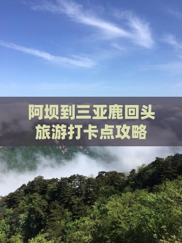 阿坝到三亚鹿回头旅游打卡点攻略