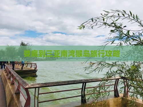 娄底到三亚南湾猴岛旅行攻略