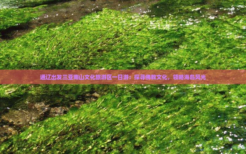 通辽出发三亚南山文化旅游区一日游：探寻佛教文化，领略海岛风光