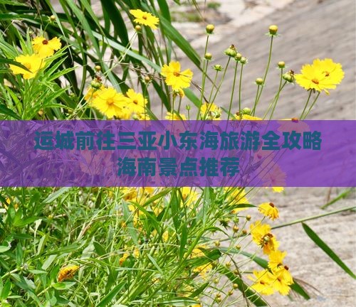 运城前往三亚小东海旅游全攻略海南景点推荐