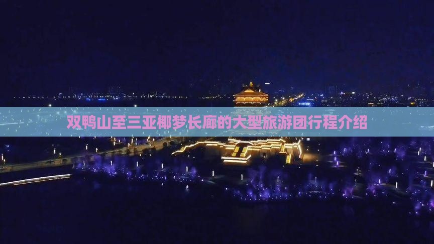 双鸭山至三亚椰梦长廊的大型旅游团行程介绍