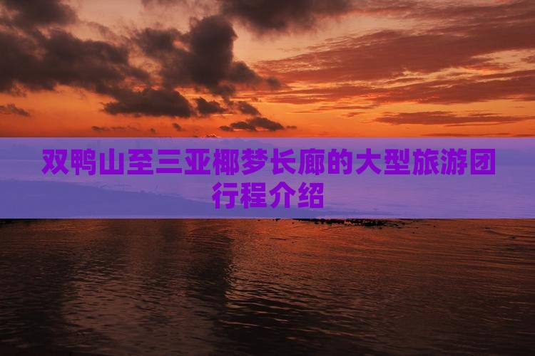 双鸭山至三亚椰梦长廊的大型旅游团行程介绍