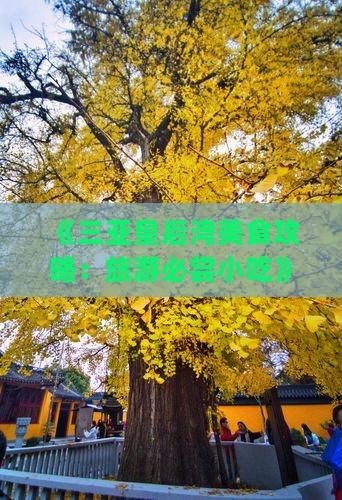 《三亚皇后湾美食攻略：旅游必尝小吃》