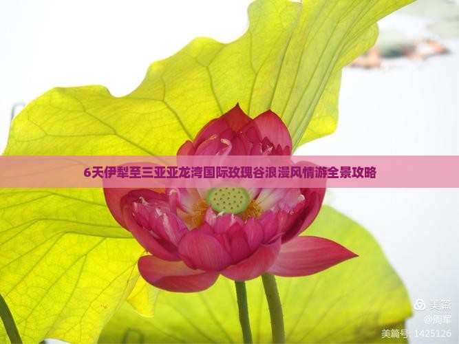 6天伊犁至三亚亚龙湾国际玫瑰谷浪漫风情游全景攻略