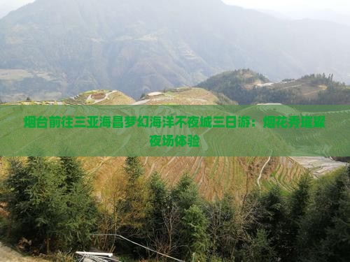烟台前往三亚海昌梦幻海洋不夜城三日游：烟花秀璀璨夜场体验