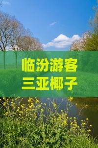临汾游客三亚椰子洲岛旅游攻略海南自由行
