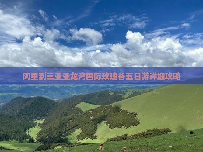 阿里到三亚亚龙湾国际玫瑰谷五日游详细攻略