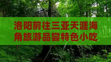 洛阳前往三亚天涯海角旅游品尝特色小吃攻略