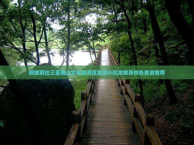 桐城前往三亚南山文化旅游区旅游小吃攻略及特色美食推荐