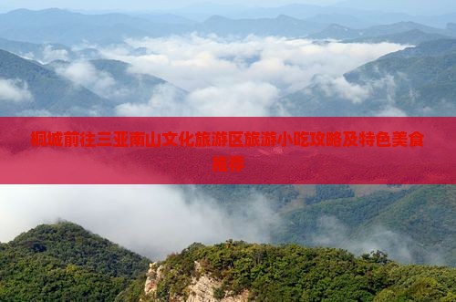 桐城前往三亚南山文化旅游区旅游小吃攻略及特色美食推荐