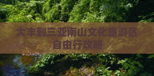 大丰到三亚南山文化旅游区自由行攻略