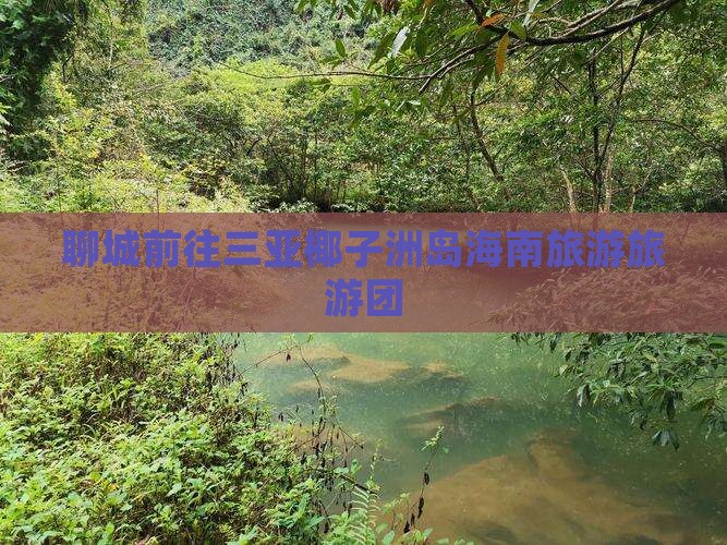 聊城前往三亚椰子洲岛海南旅游旅游团