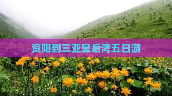 资阳到三亚皇后湾五日游