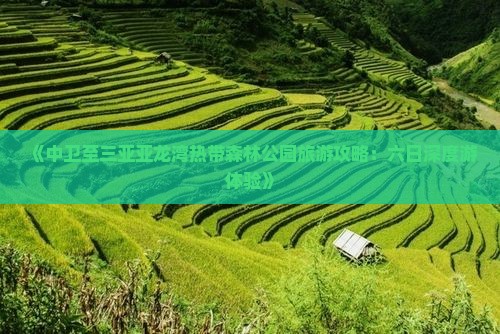 《中卫至三亚亚龙湾热带森林公园旅游攻略：六日深度游体验》