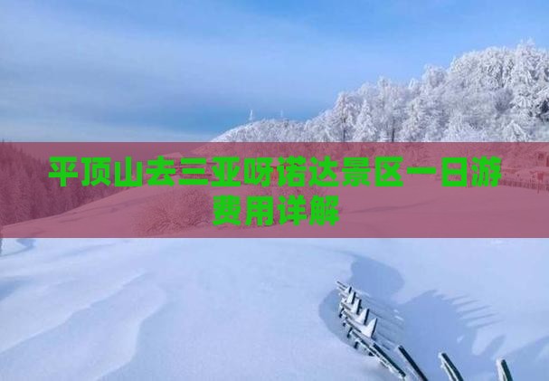 平顶山去三亚呀诺达景区一日游费用详解