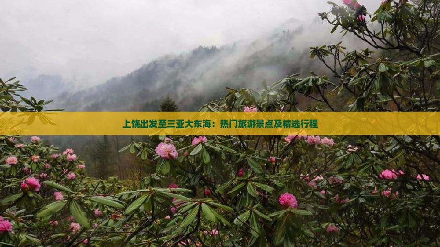 上饶出发至三亚大东海：热门旅游景点及精选行程
