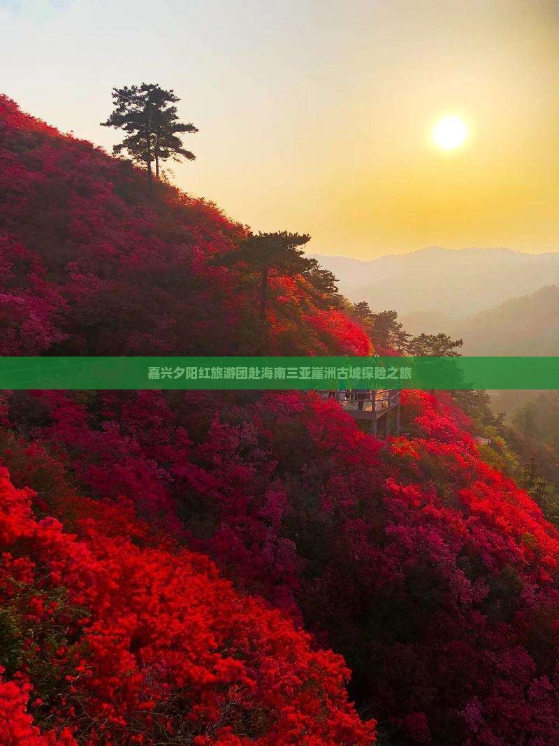 嘉兴夕阳红旅游团赴海南三亚崖洲古城探险之旅