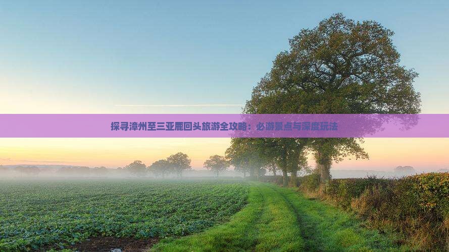 探寻漳州至三亚鹿回头旅游全攻略：必游景点与深度玩法