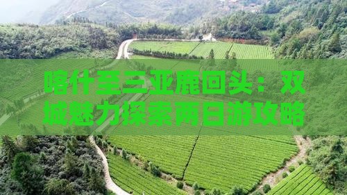 喀什至三亚鹿回头：双城魅力探索两日游攻略