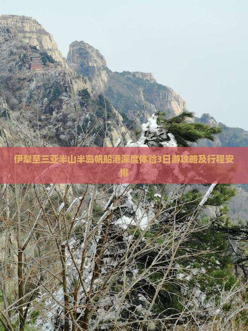 伊犁至三亚半山半岛帆船港深度体验3日游攻略及行程安排