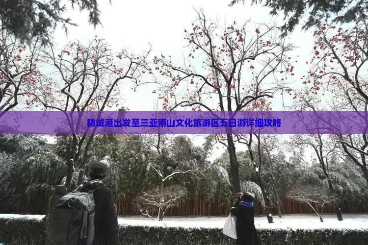 防城港出发至三亚南山文化旅游区五日游详细攻略