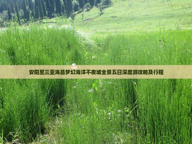 安阳至三亚海昌梦幻海洋不夜城全景五日深度游攻略及行程