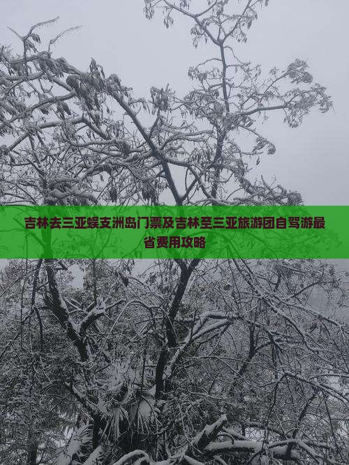 吉林去三亚蜈支洲岛门票及吉林至三亚旅游团自驾游最省费用攻略