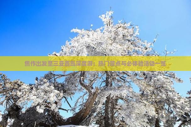 焦作出发至三亚西岛深度游：热门景点与必体验活动一览