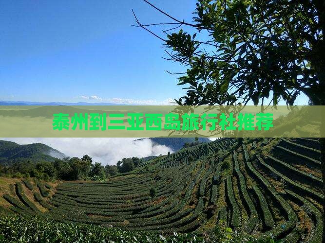 泰州到三亚西岛旅行社推荐