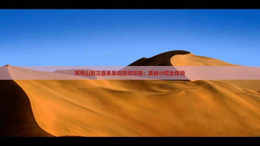 双鸭山到三亚呆呆岛旅游攻略：美食小吃全体验