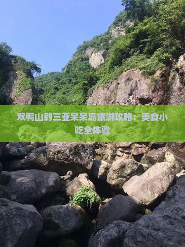 双鸭山到三亚呆呆岛旅游攻略：美食小吃全体验