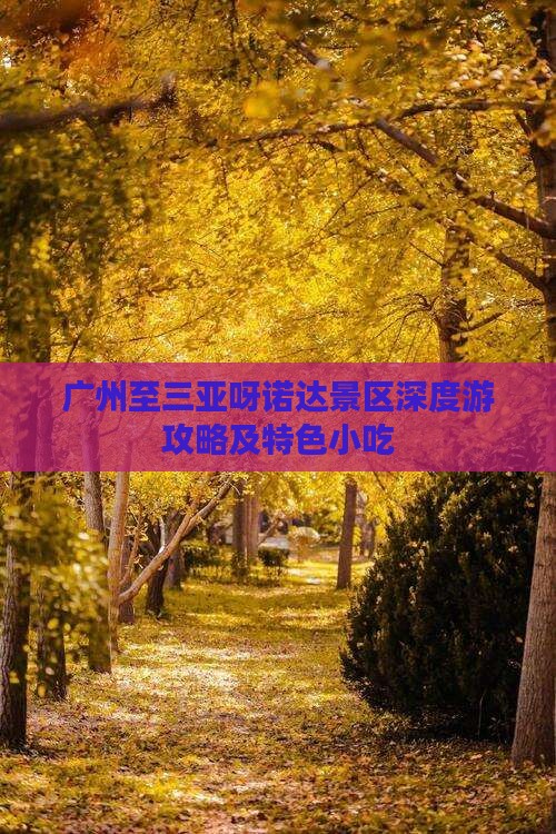 广州至三亚呀诺达景区深度游攻略及特色小吃