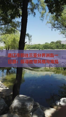 通辽市前往三亚分界洲岛一日游：探寻热带风情与海岛美景之旅