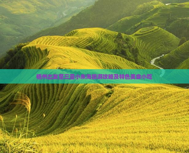 梧州出发至三亚小东海旅游攻略及特色美食小吃