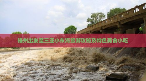 梧州出发至三亚小东海旅游攻略及特色美食小吃