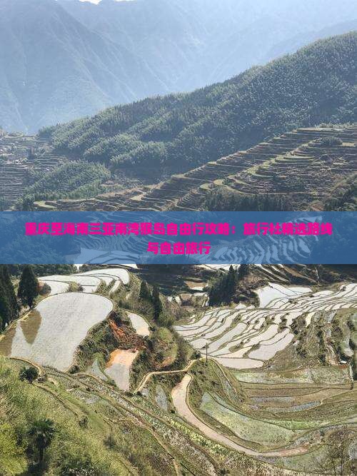 重庆至海南三亚南湾猴岛自由行攻略：旅行社精选路线与自由旅行