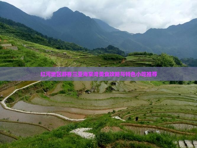 红河地区游客三亚海棠湾美食攻略与特色小吃推荐
