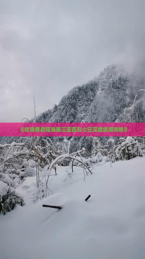 《吐鲁番启程海南三亚西岛七日深度旅游攻略》
