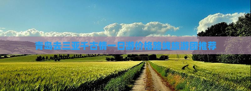青岛去三亚千古情一日游价格路线旅游团推荐